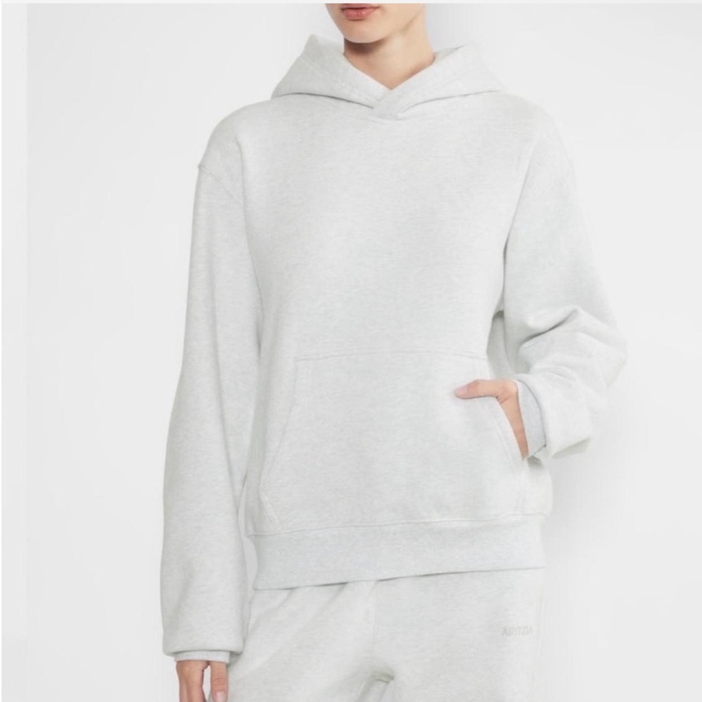 Aritzia Cozy Sweatfleece Perfect Hoodie